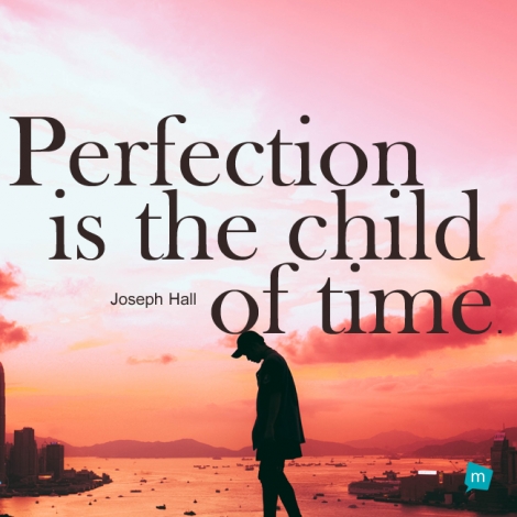 Perfection is the child of time.