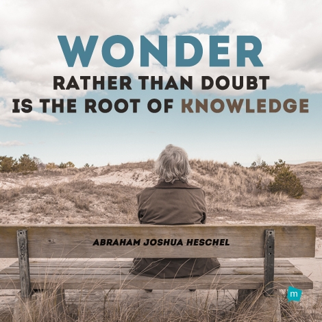 Wonder rather than doubt is the root of knowledge