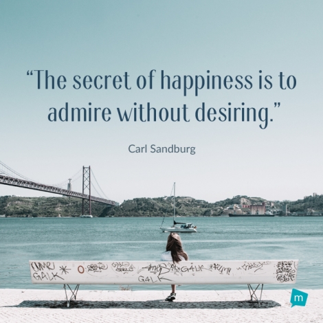 The secret of happiness is to admire without desiring.