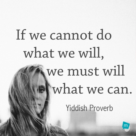 If we cannot do what we will, we must will what we can.